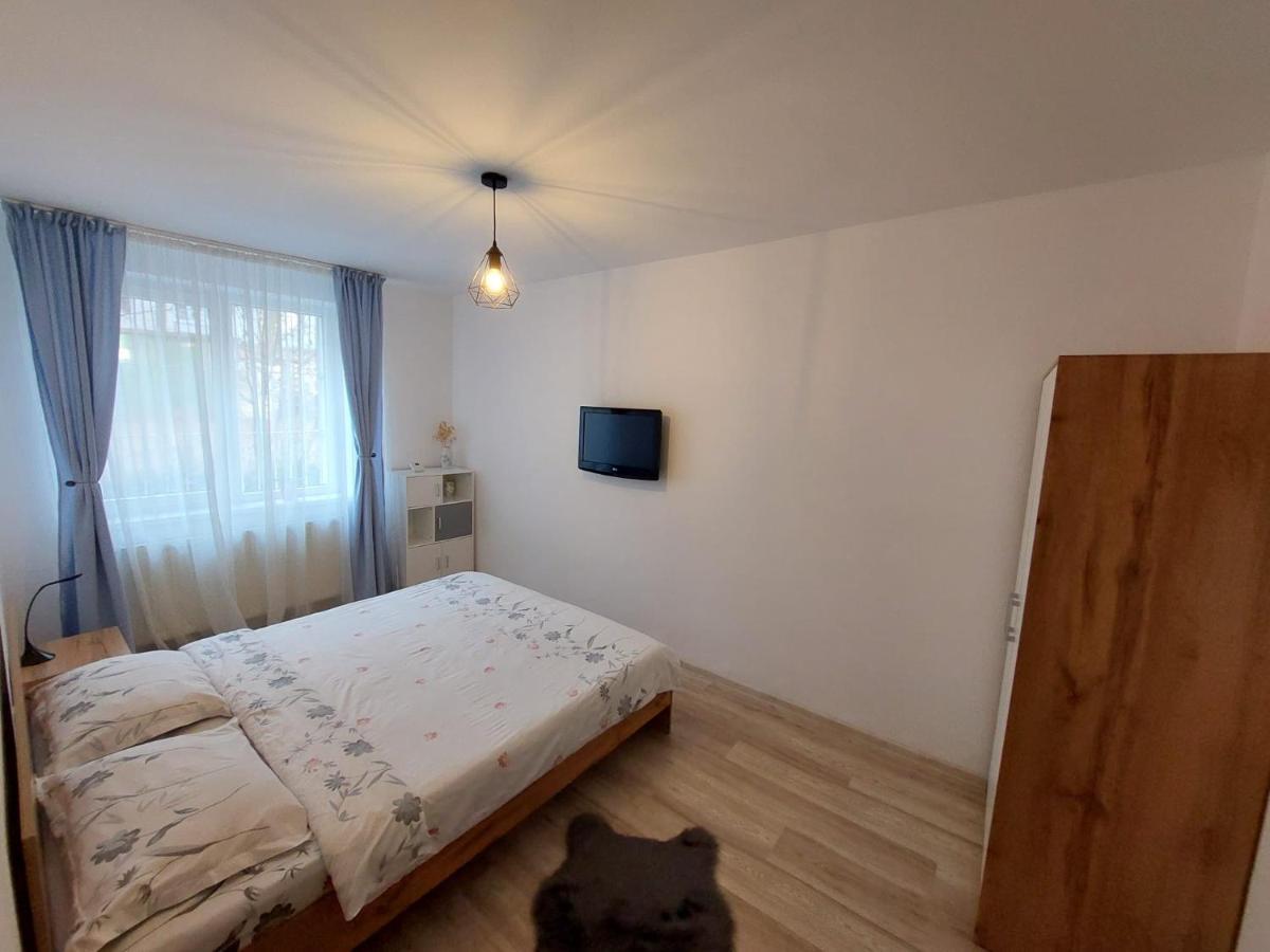 Youth Central Apartment Târgu-Mureş Dış mekan fotoğraf