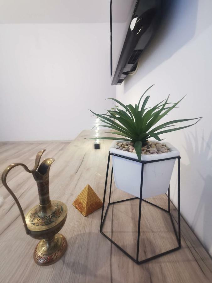 Youth Central Apartment Târgu-Mureş Dış mekan fotoğraf